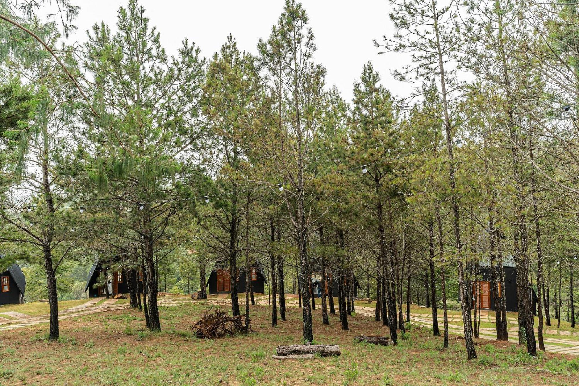 Chales Naturale - Campos Do Jordao - Cna Exteriör bild